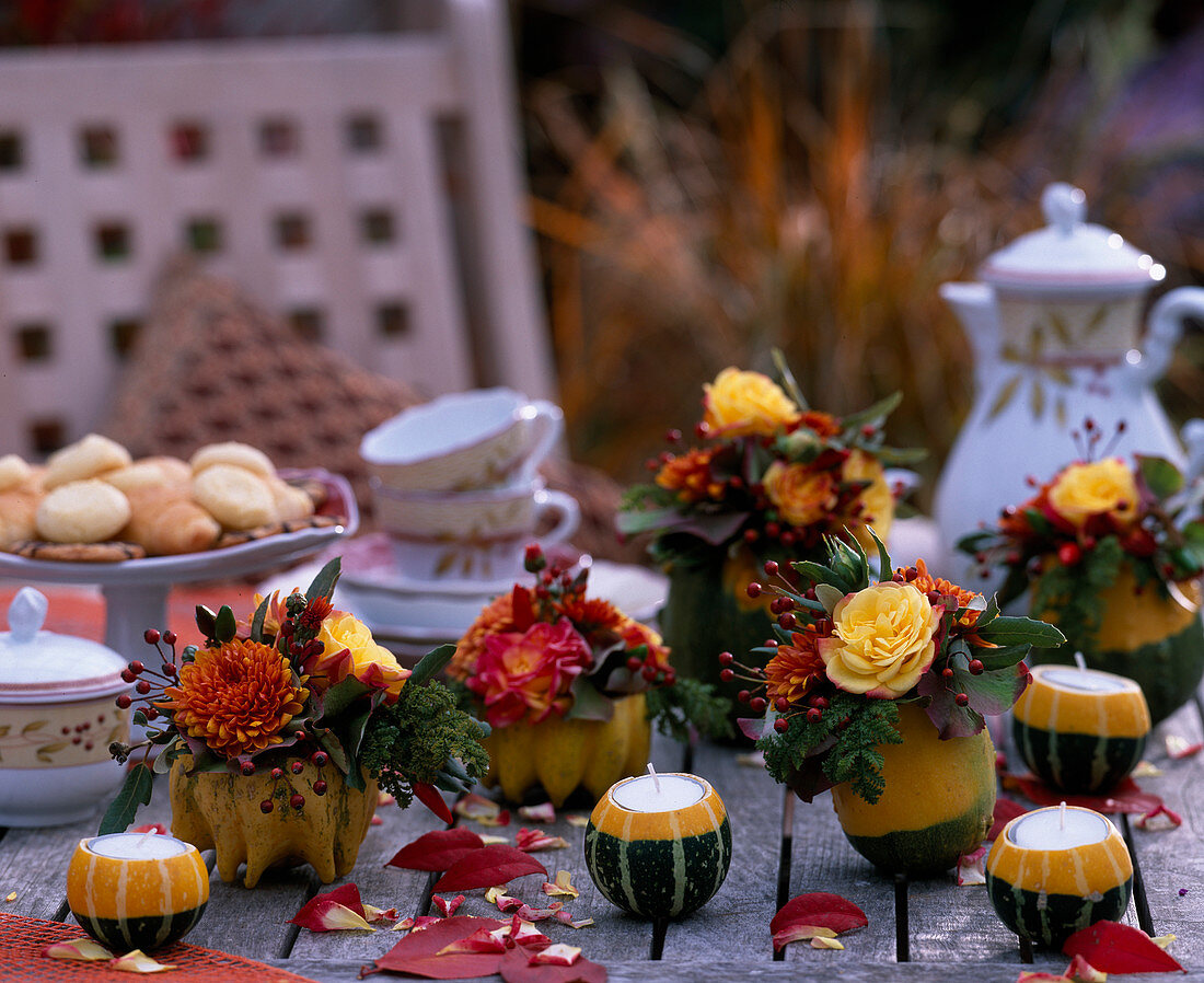 Ornamental pumpkins as vases and tea light holders, Cucurbita (ornamental pumpkins), Rosa (roses)