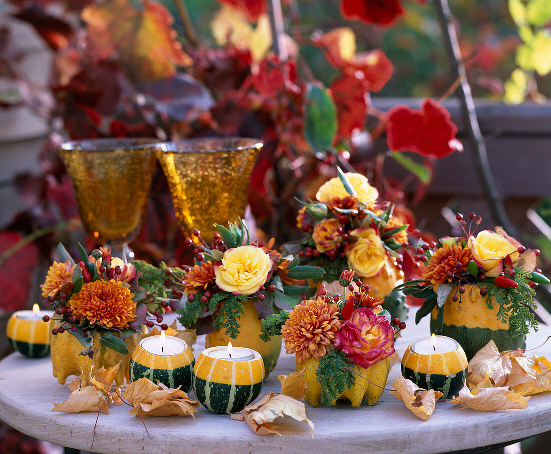 Zierkürbisse als Vasen und Teelichthalter, Cucurbita (Zierkürbisse), Rosa (Rosen)