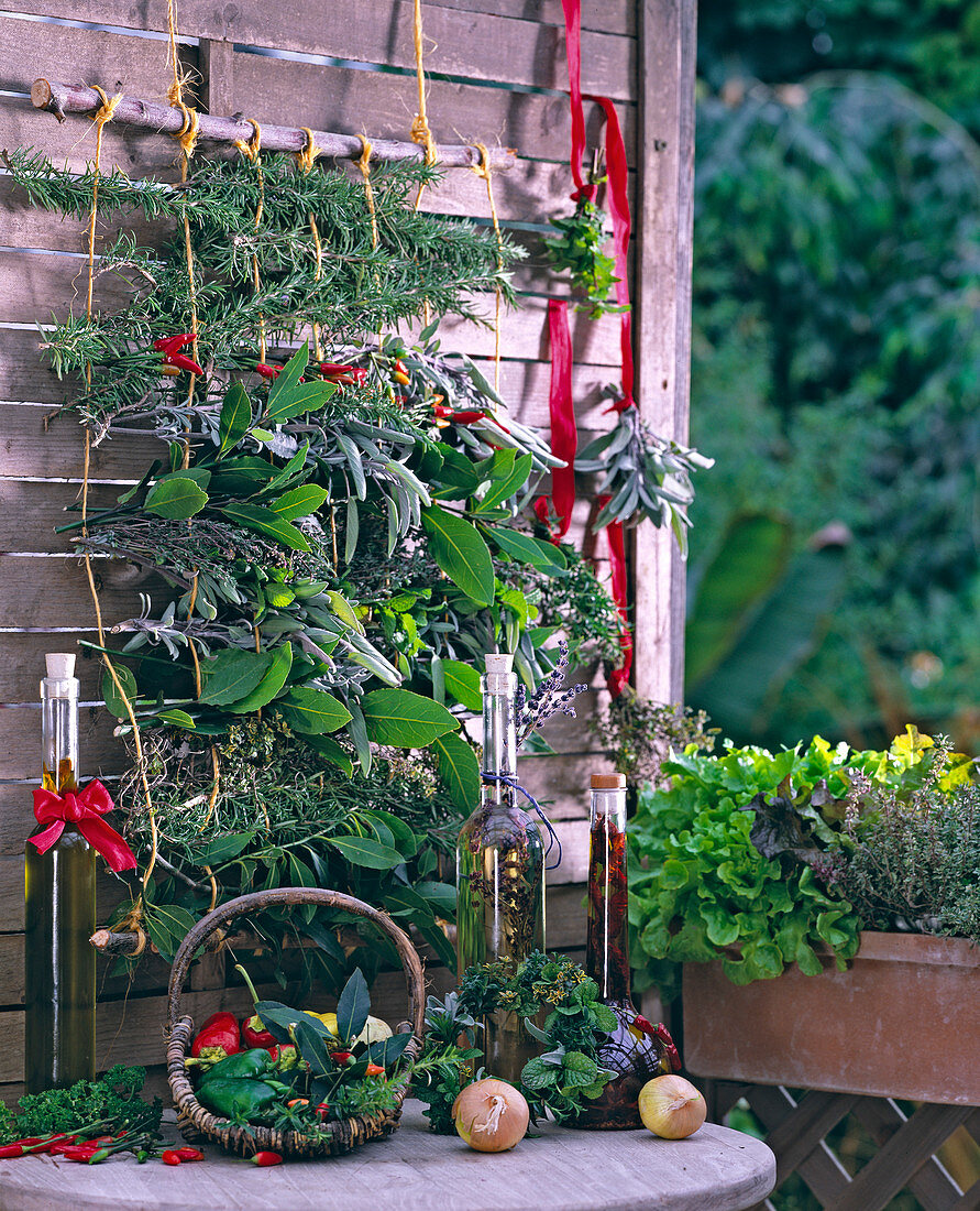 Drying herbs