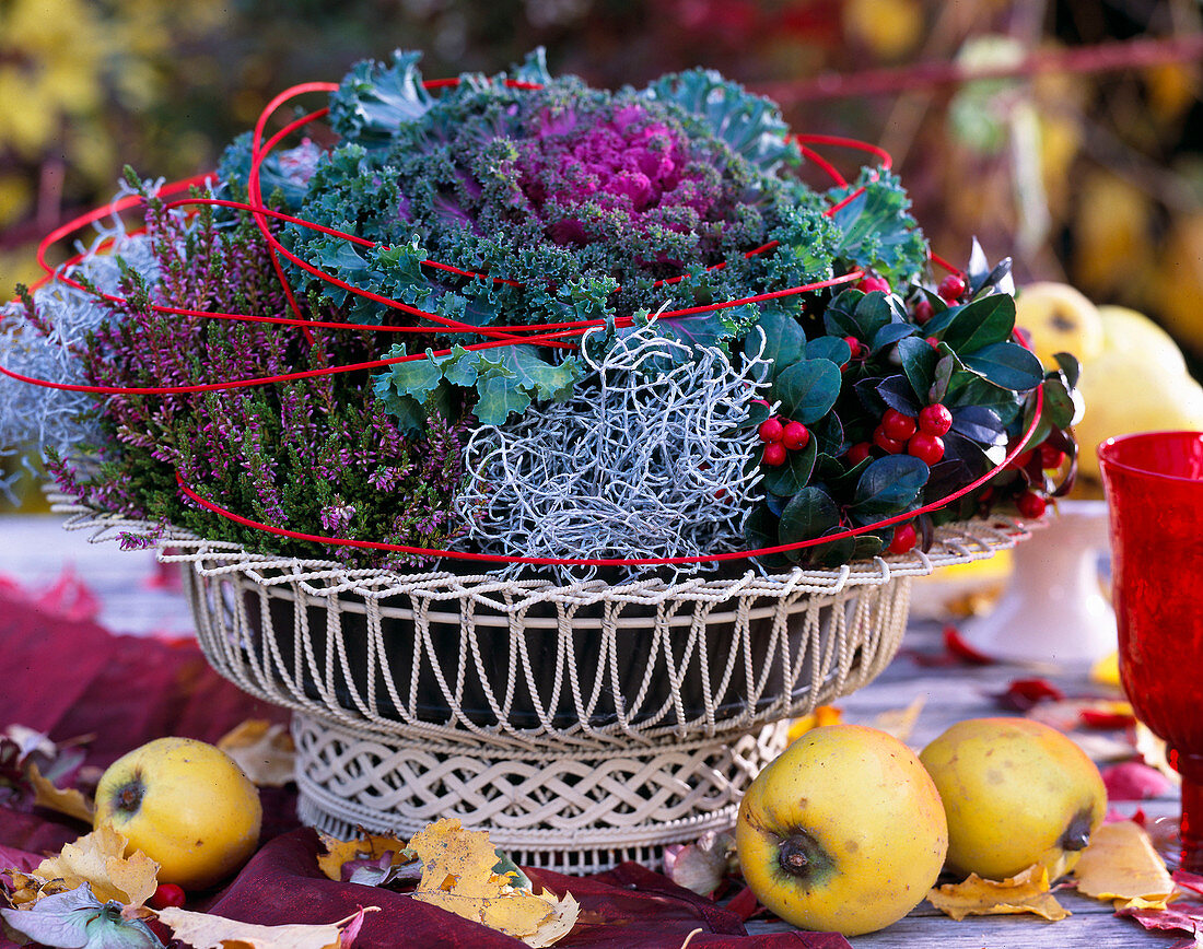 Metal basket: Brassica (ornamental cabbage), Calluna (heather), Gaultheria (mock berry), Calo