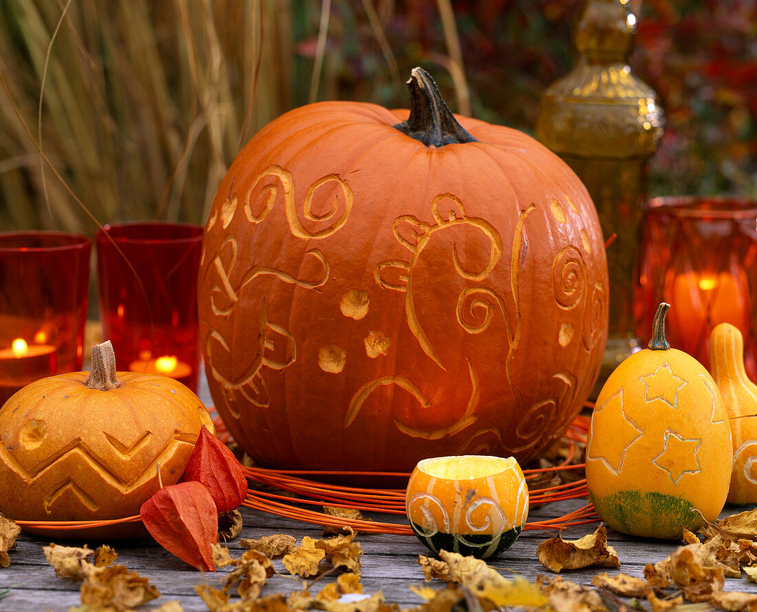 Decoration with carved pumpkins. Cucurbita pepo (pumpkin)