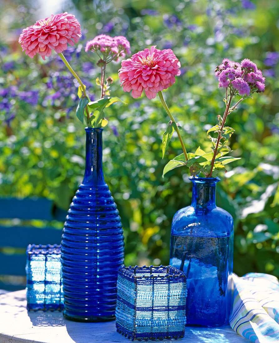 Blue Glass Bottle, Zinnia (Zinnia), Ageratum (Liver Balm)