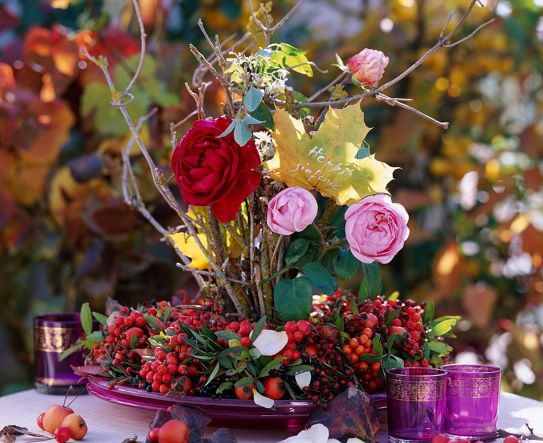 Berry wreath with Rosa (roses and rose hips), Sorbus (rowan berries), Malus (ornamental apple)