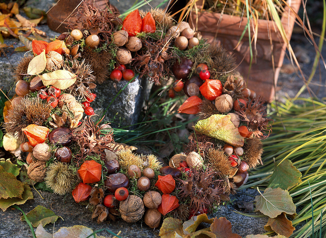 Autumn wreath with nuts and lanterns