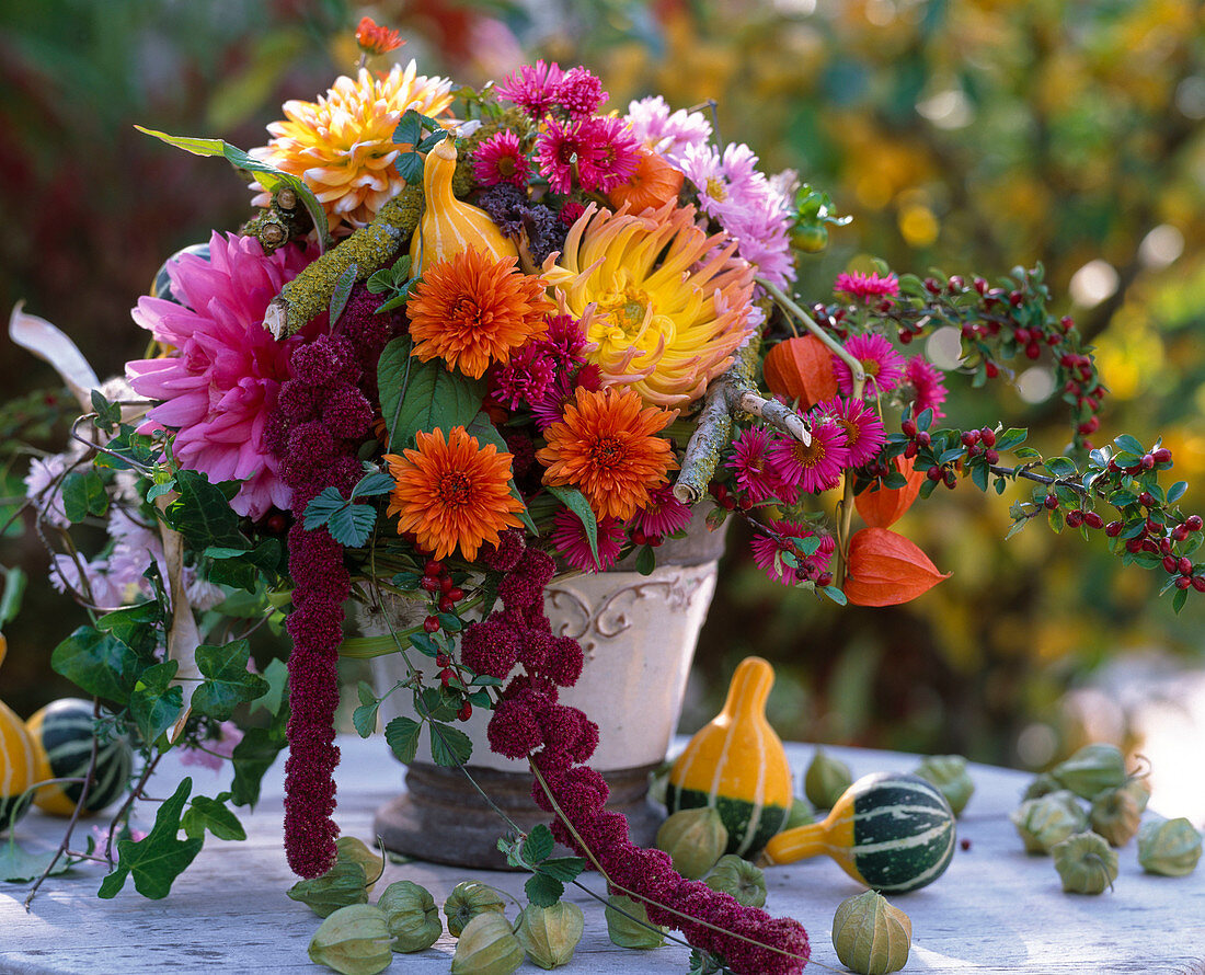 Dahlia (dahlias), Amaranthus (foxtail), Cucurbita (ornamental pumpkin)