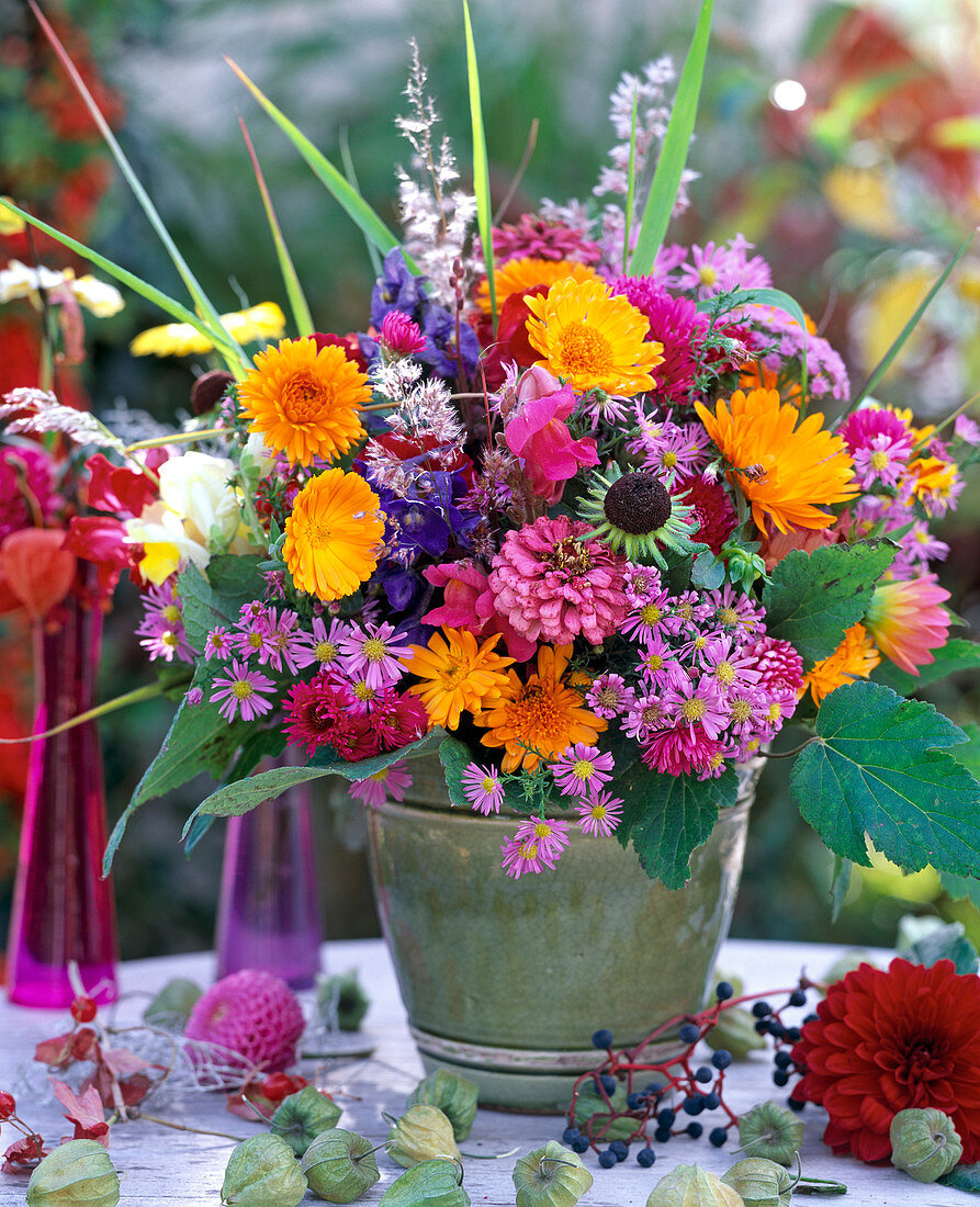 Calendula (marigolds), Aster (autumn aster), Zinnia (zinnias)