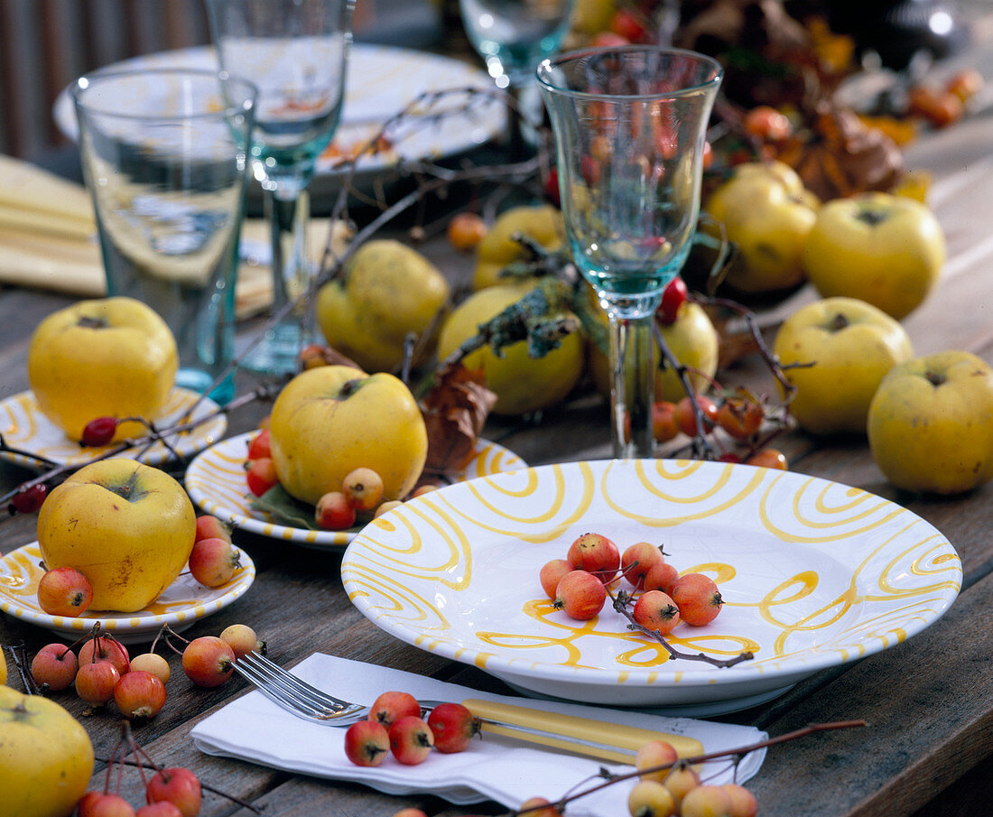 Cydonia (Apple quince), Malus 'Evereste' (Ornamental apple)