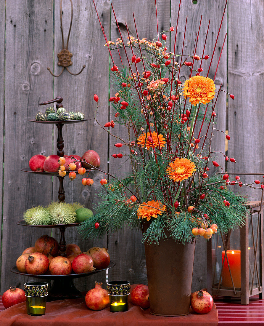 Strauß: Gerbera 'Victory', Euphorbia fulgens (Wolfsmilch), Rosa (Hagebutten)