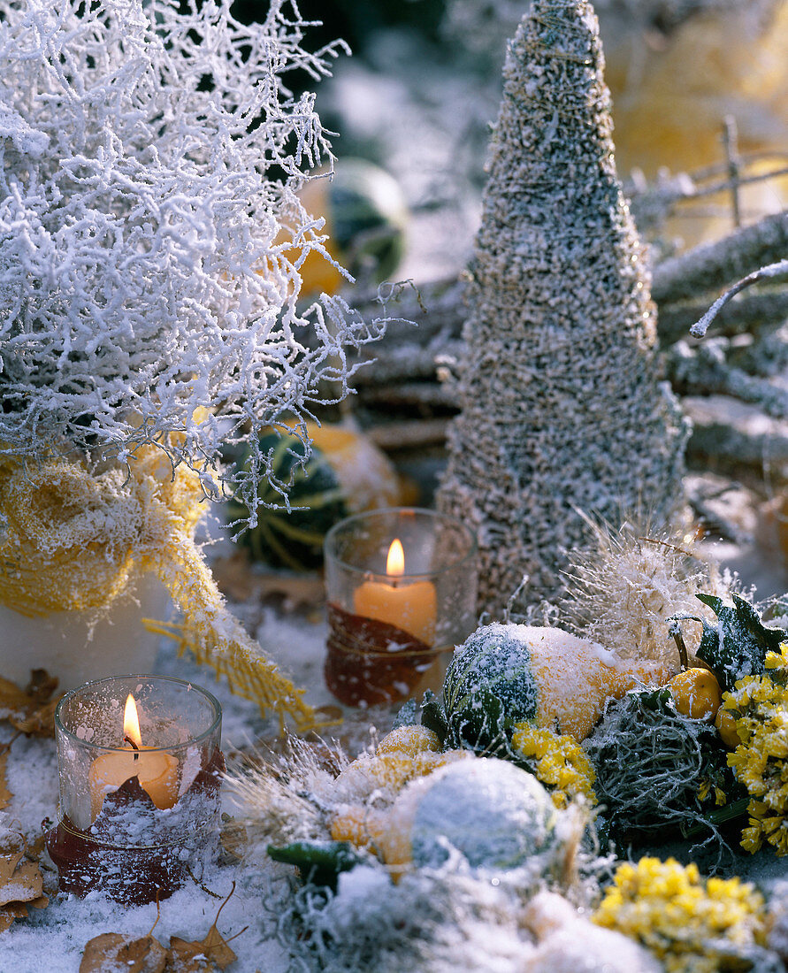 Winterdekoration mit Greiskraut und Zierkürbissen im Rauhreif