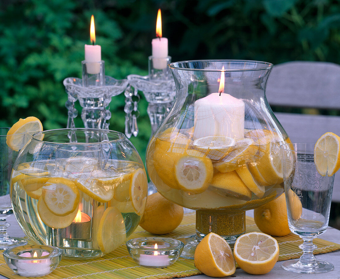 Citrus limon (lemon) on a trellis in a square pot