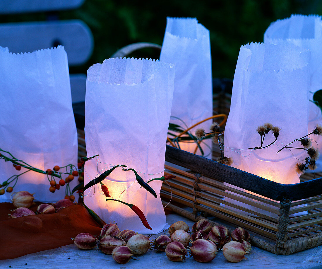 Sandwich bags as decorative cover for lanterns, Capsicum (ornamental pepper)