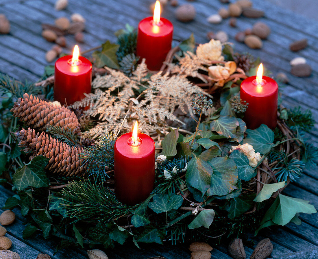 Advent wreath: Hedera (ivy), Abies (fir and cones), Pinus (pine), Asparagus