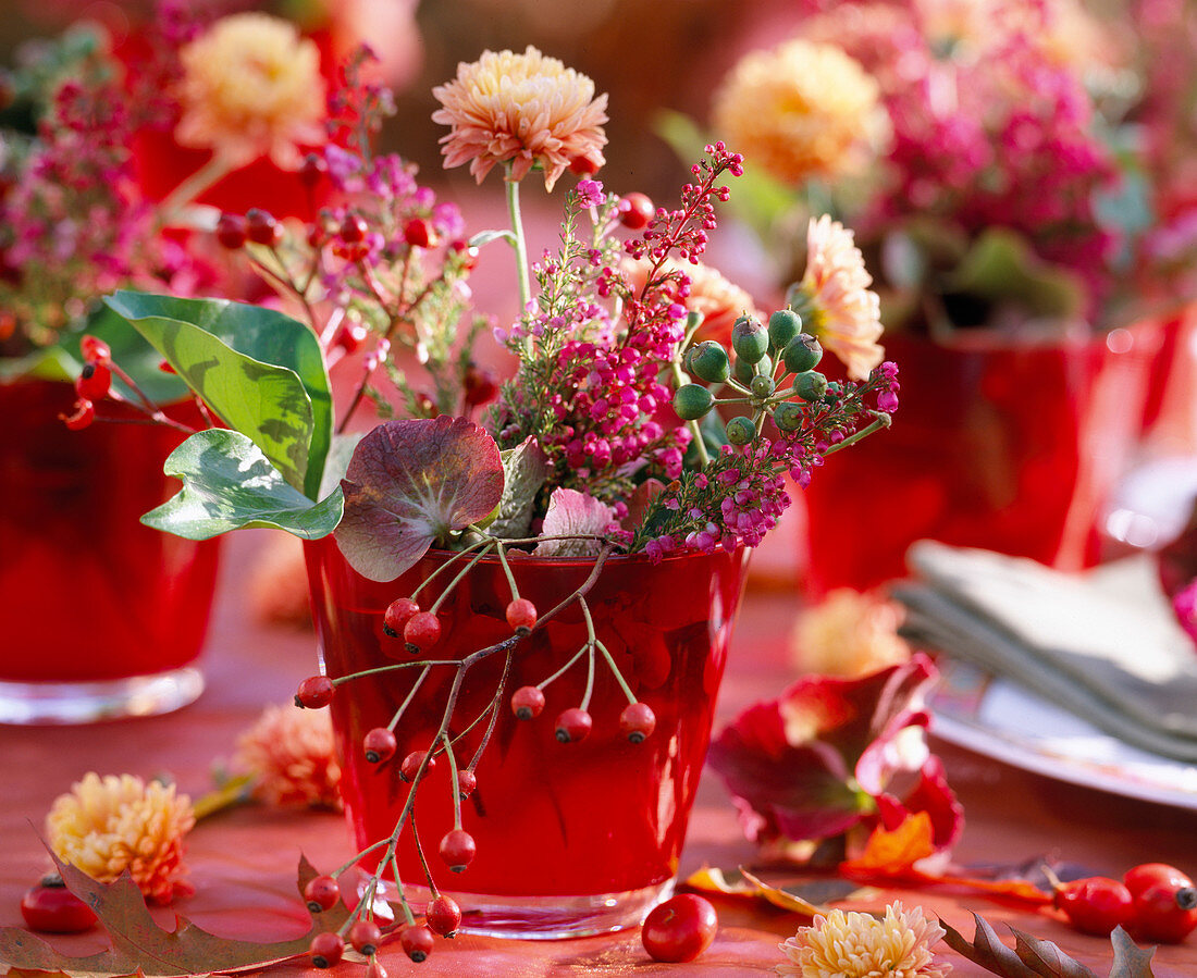 Rose (rosehip), Chrysanthemum, Erica (heather), Hedera