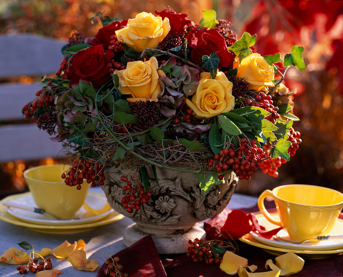 Rosa (Rosen), Hedera (Efeu), Hydrangea (Hortensie), Skimmia, Photinia (Glanzmispel)