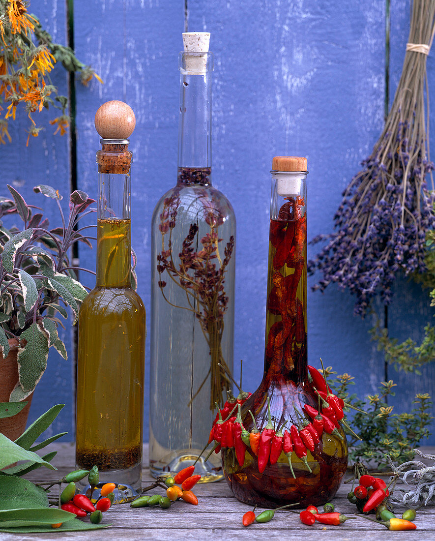 Herb oil, Salvia (sage), Capsicum frutescens (chilli), Lavandula (lavender)