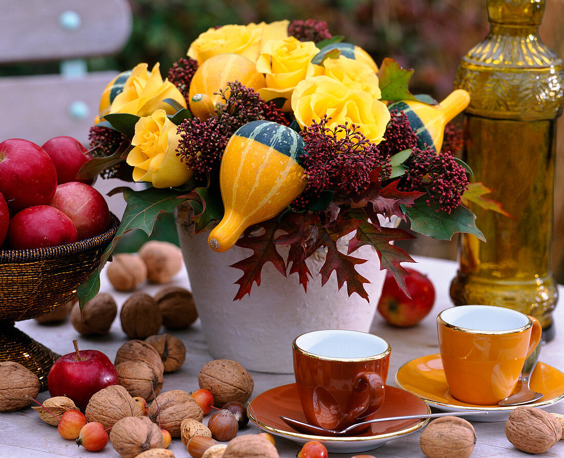 Rosa (roses), Cucurbita (pumpkins), Skimmia (skimmia), Quercus (oak leaves), Malus