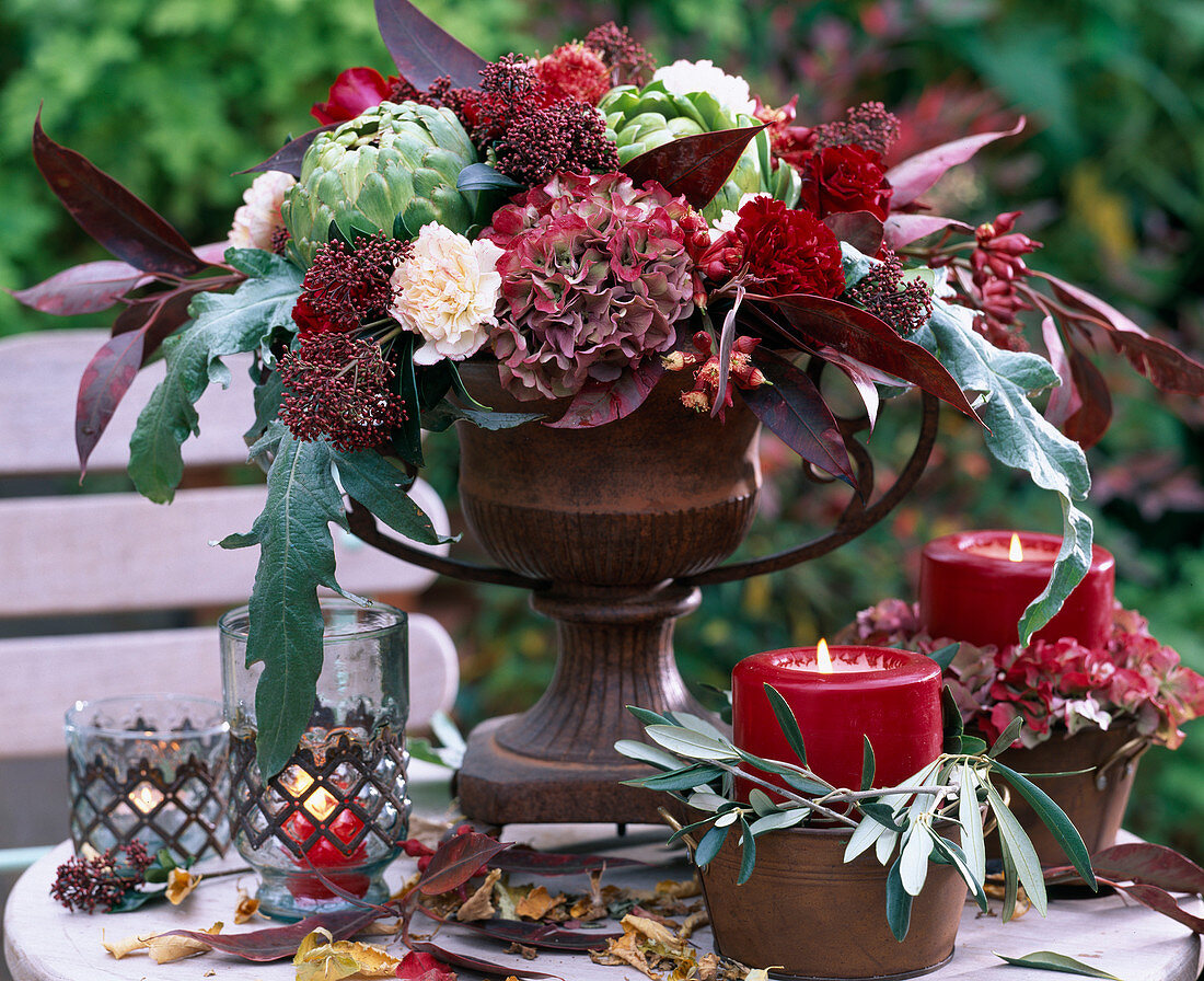 Cynara scolymus (Artischocken), Hydrangea (Hortensien), Dianthus (Nelken), Rosa (Rosen)