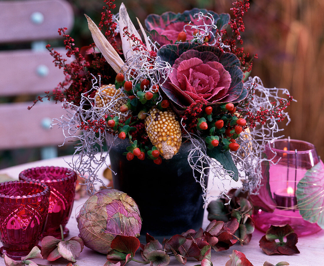 Brassica (ornamental cabbage), Zea (ornamental maize), Hypericum (St. John's wort), Hydrangea (hydrangea)