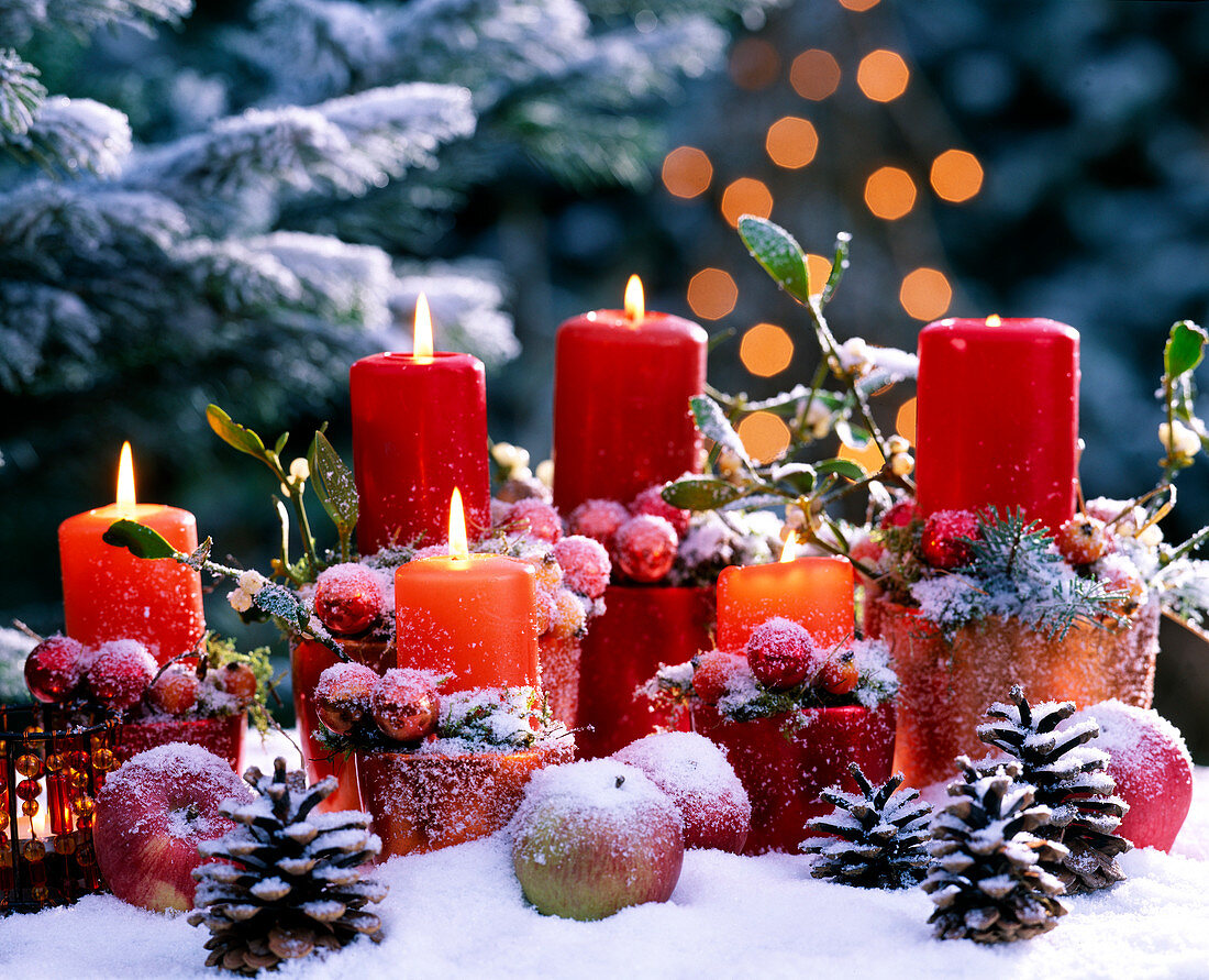 Viscum album (mistletoe), Pinus (pine cones), Malus (apples), candles, balls