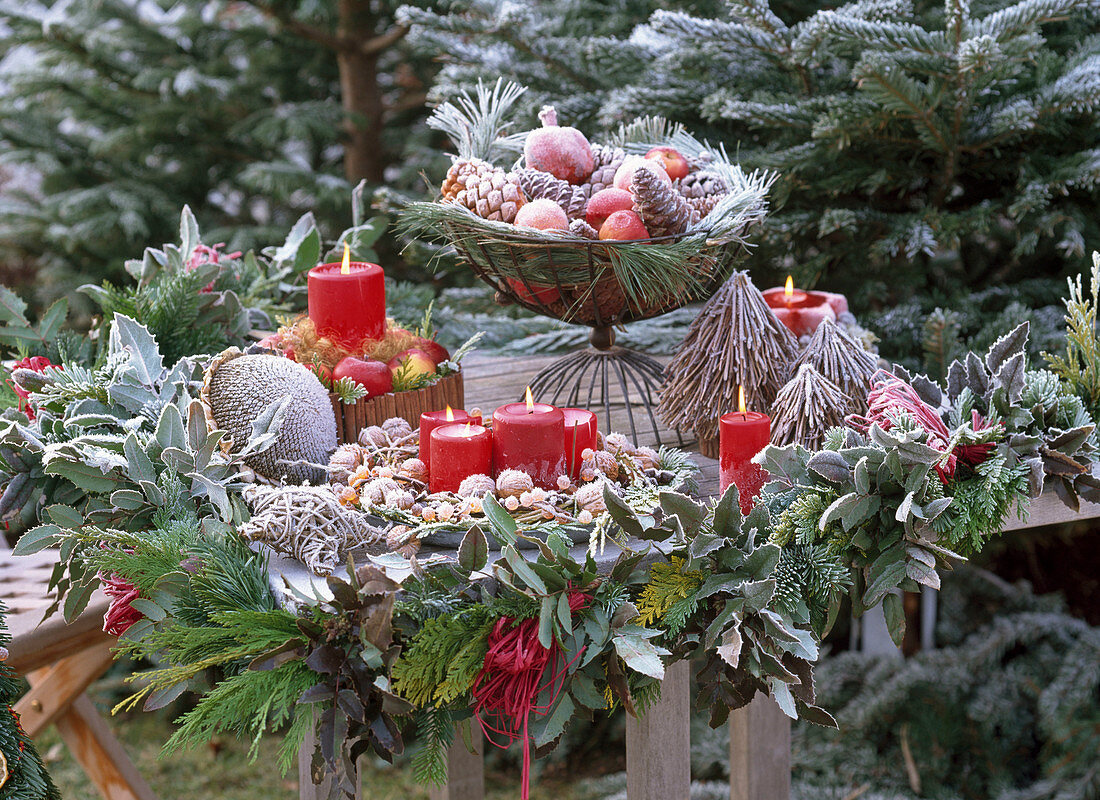 Garland on the table, Mahonia, Abies, Chamaecyparis