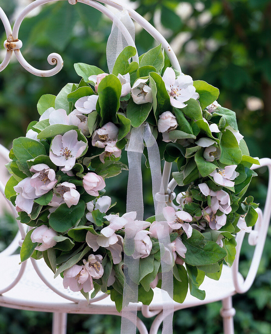 Wreath of Cydonia (quince flowers and leaves with bows)