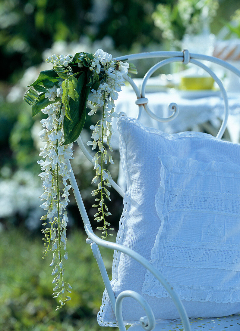 Wisteria sinensis 'Alba' (White Blue Violet) as chair decoration