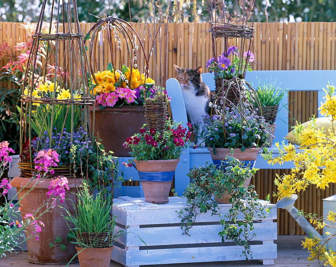 Wickerwork as decoration in planted pots