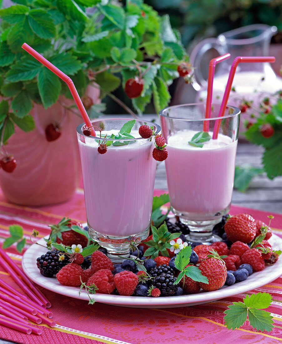 Fragaria (Erdbeeren), Rubus (Himbeeren und Brombeeren)