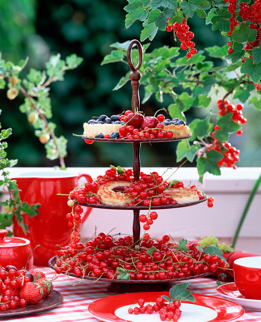 Etagere with Ribes (red currants), Prunus (cherries)