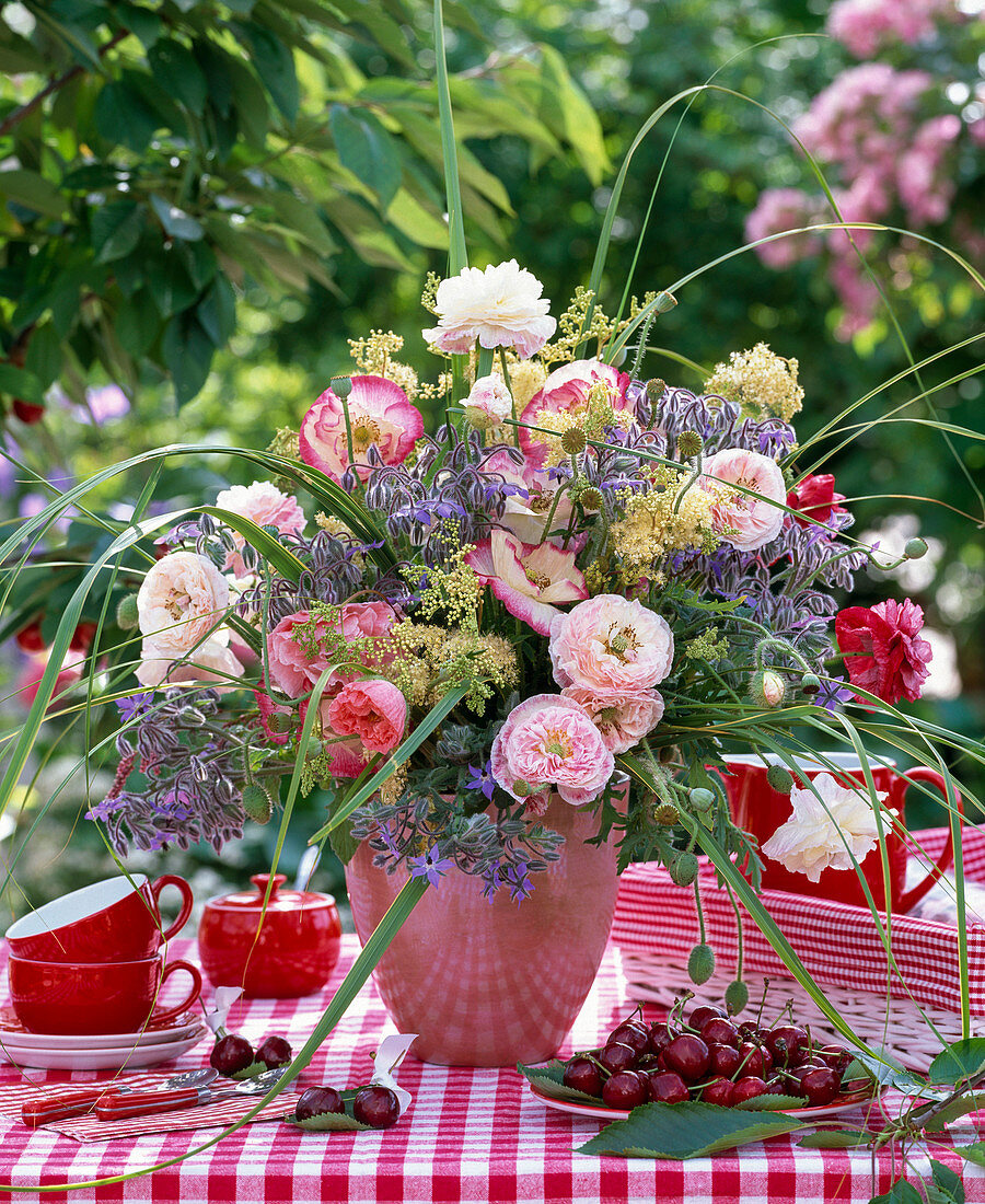 Papaver 'Picotee Mixed', 'Angels Choir' (Thompson & Morgan)