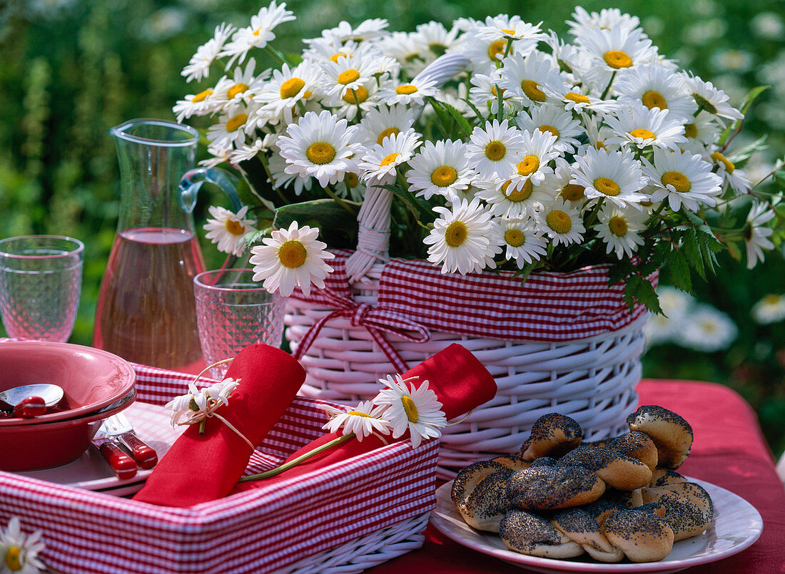 Leucanthemum (spring marguerite), bouquets in glasses