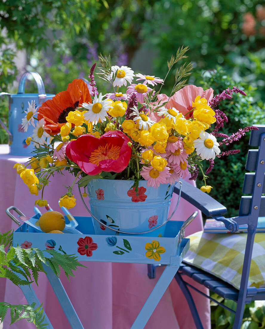 Trollius (troll flower), Leucanthemum (daisies), Paeonia (peony)