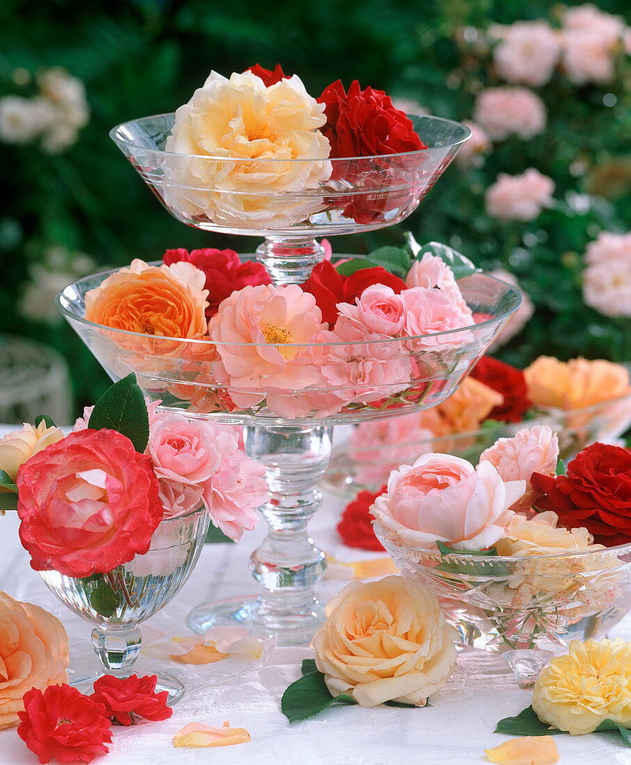Glasetagere und Kristallschale mit Rosa (Rosenblüten)