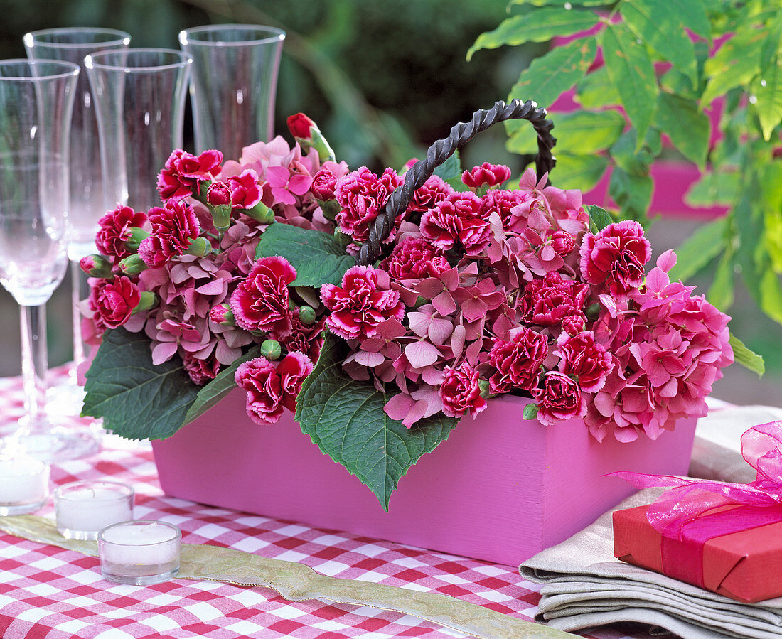 Hydrangea, Dianthus (carnation)