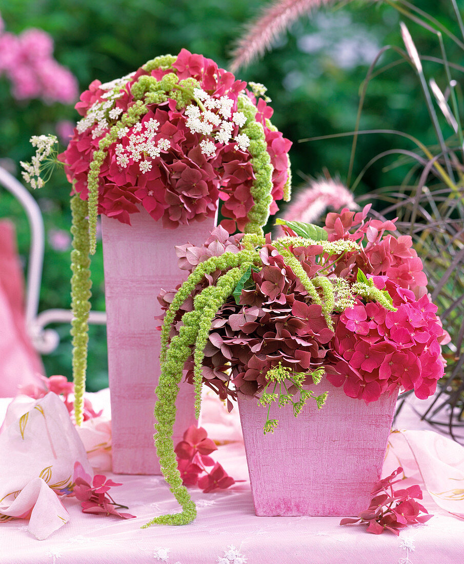 Hydrangea, Amaranthus (Foxtail)