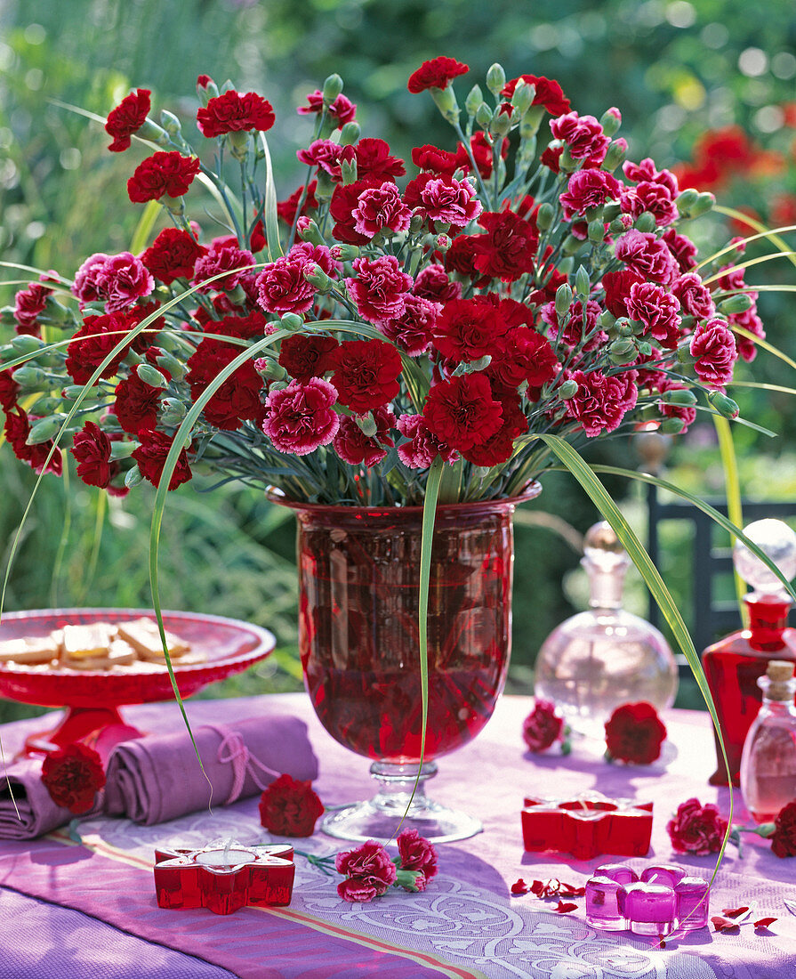 Dianthus (carnation), Spartina (gold-leaf grass)