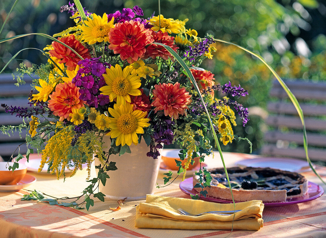 Dahlia (Dahlien), Solidago (Goldrute)