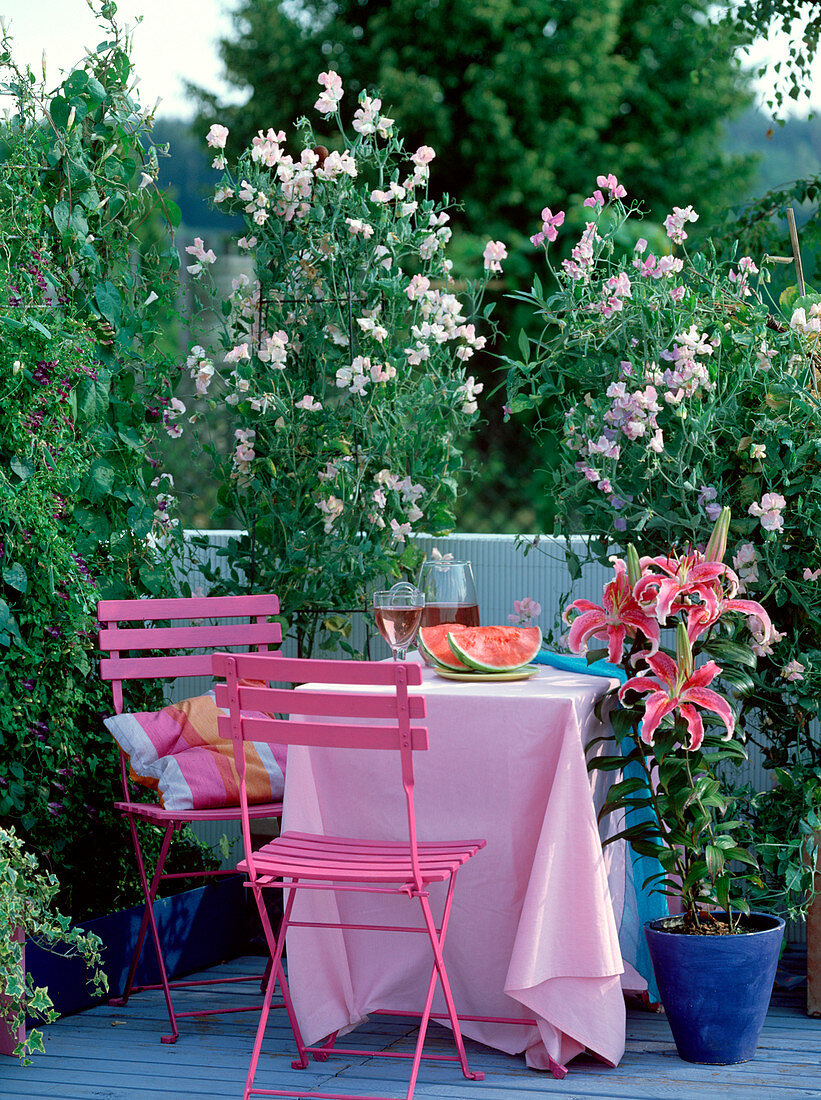 Lathyrus odoratus (sweetpea), lilium 'Stargazer' (fragrant lily)