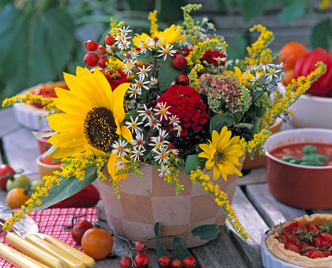 Helianthus (sunflower, aster (myrtle))