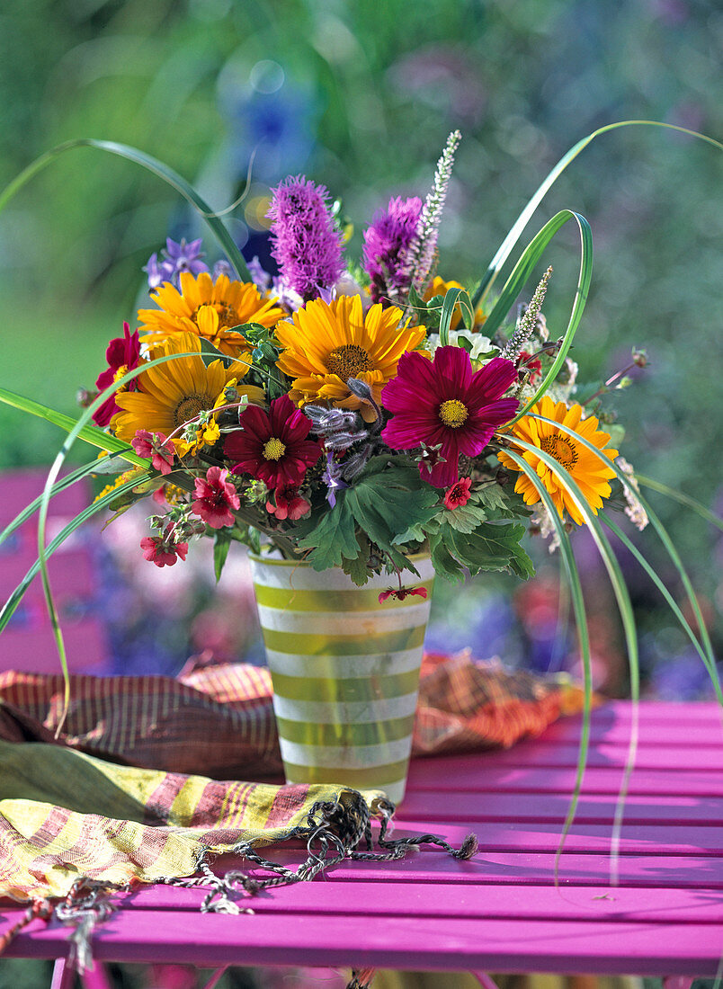 Heliopsis (oxeye), Cosmos