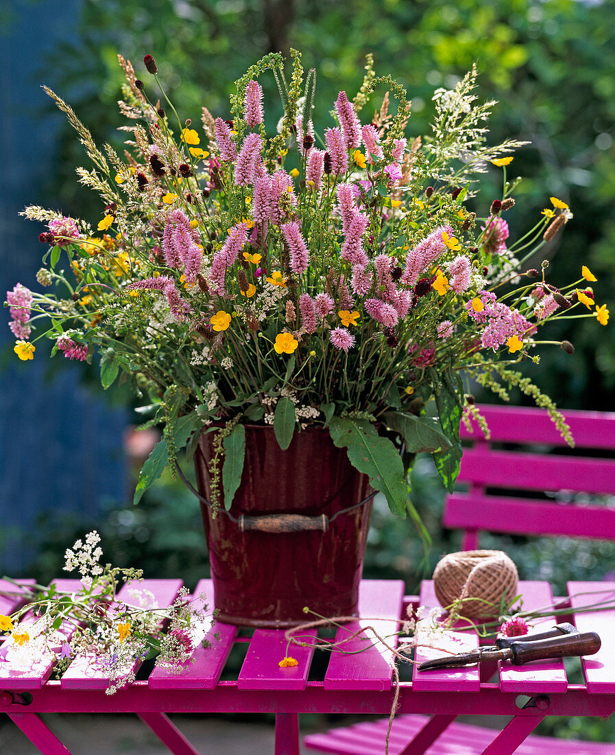 Polygonum / Knöterich, Trifolium / Klee