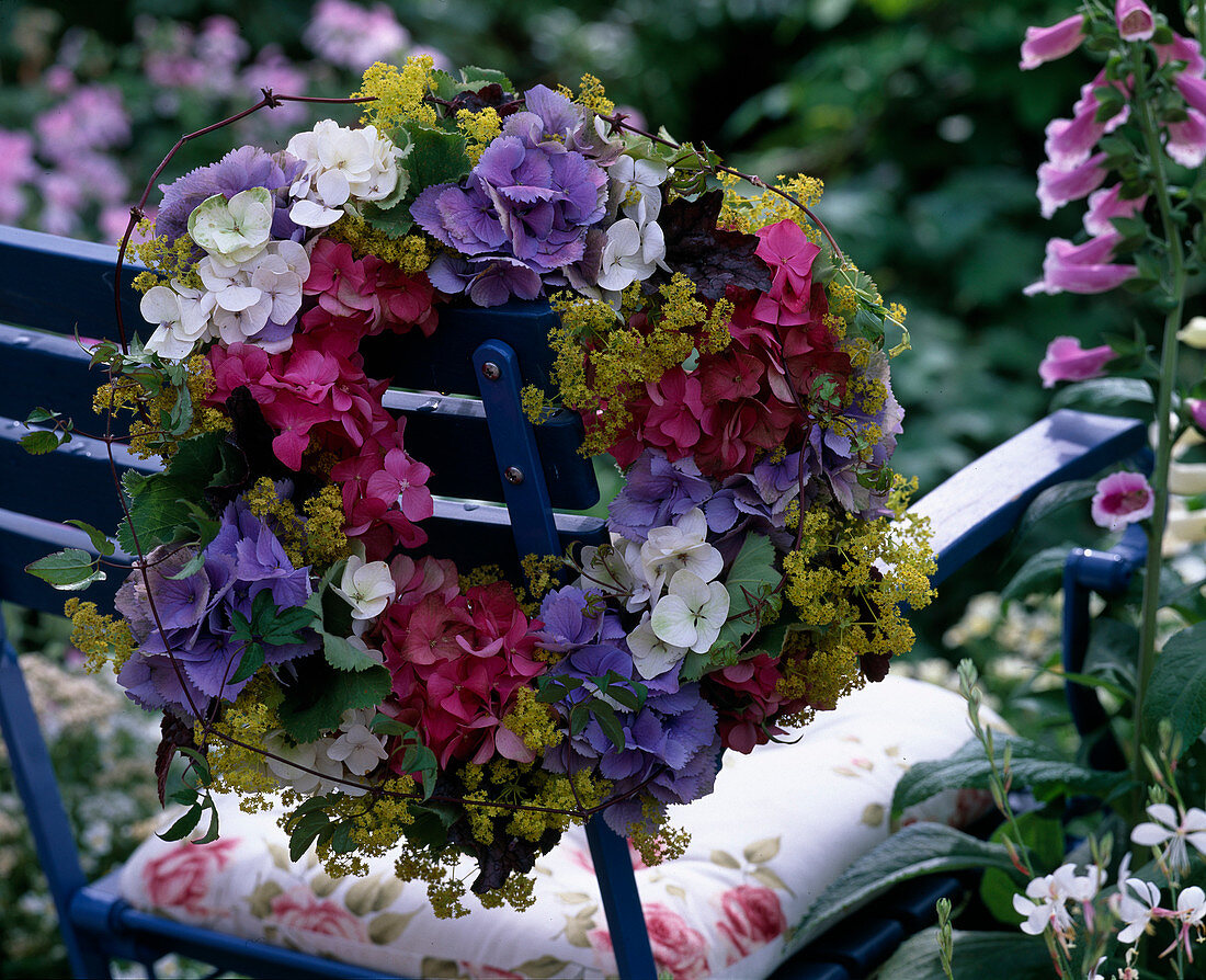 Hydrangea, Alchemilla