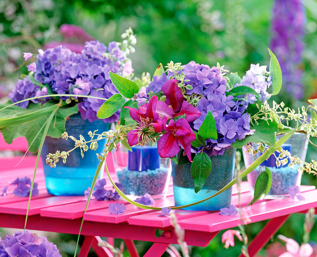 Hydrangea / Hortensien, Clematis / Waldrebe