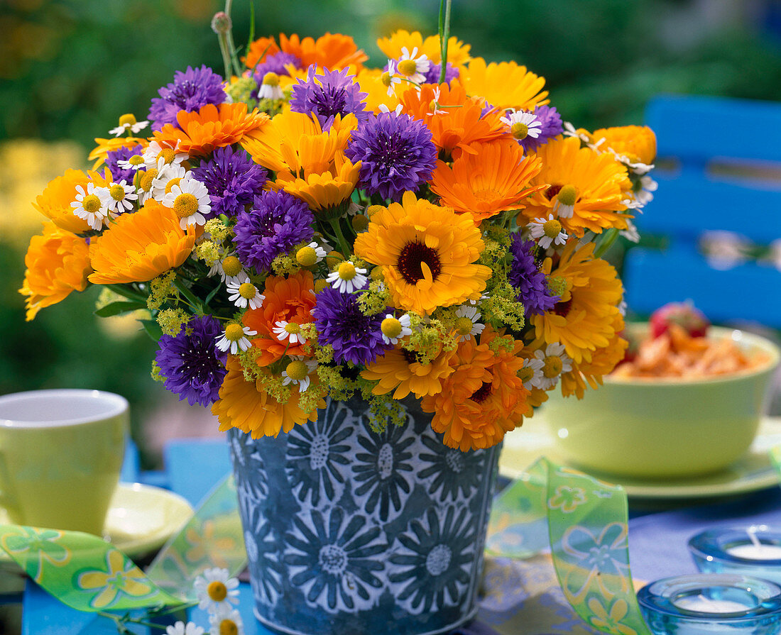 Calendula (Marigold), Centaurea (cornflower)