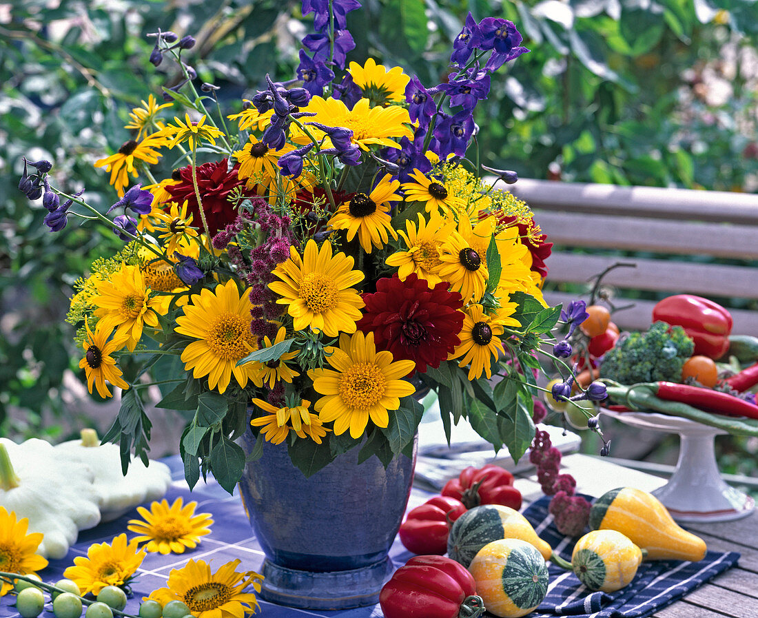 Helianthus 'Capenoch Star' / Sonnenblumen