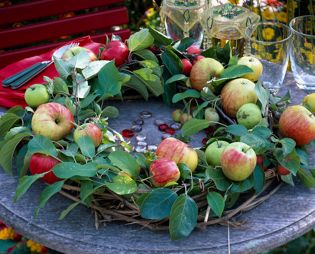 Malus (apple) wreath on clematis blank