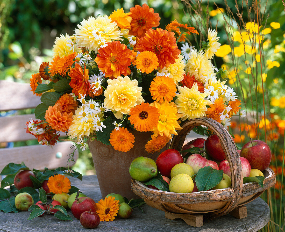 Dahlia / Dahlien, Calendula / Ringelblumen