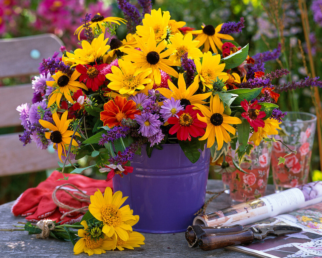 Helianthus 'Capenoch Star' / Sonnenblumen