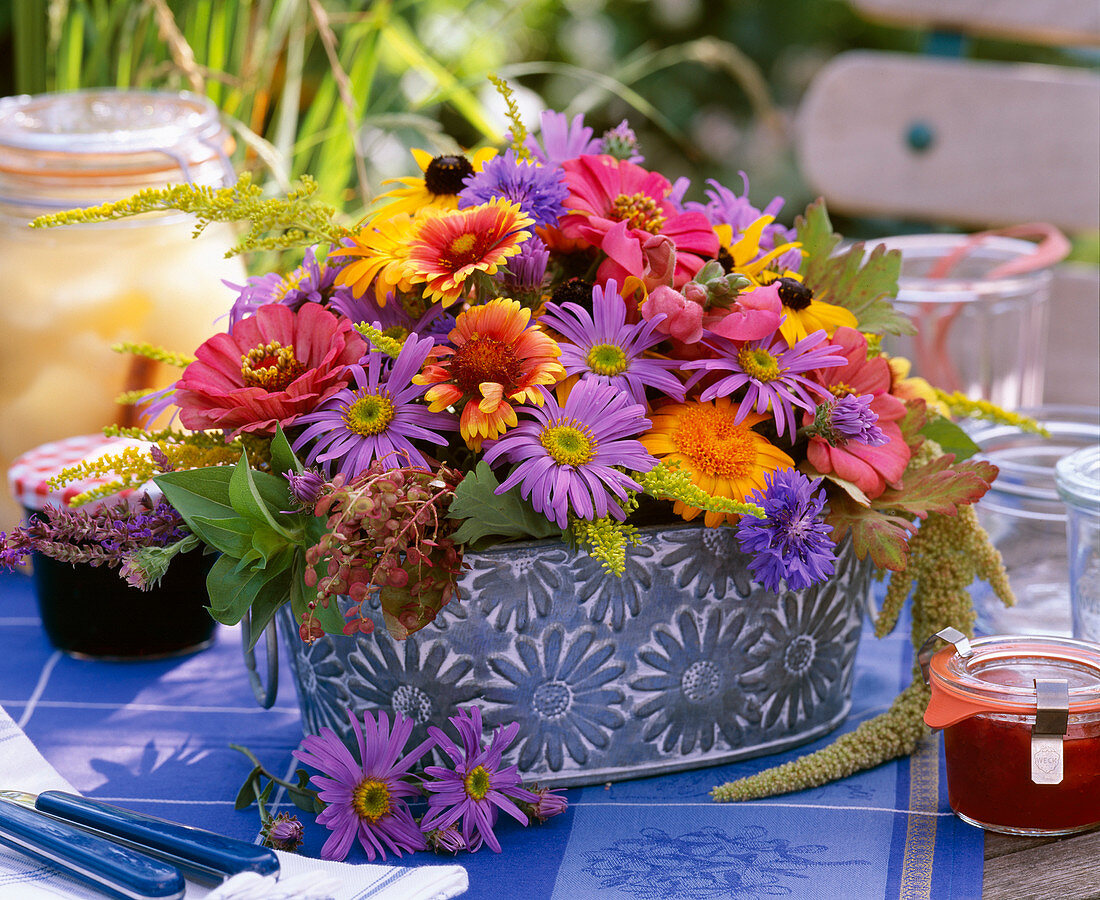 Aster amellus (asters), Calendula (marigold)