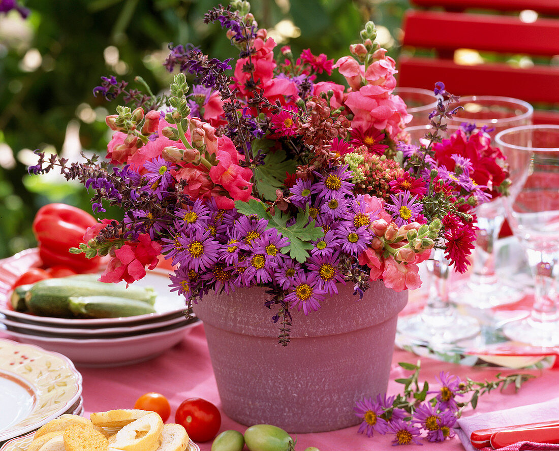 Aster (Herbstastern), Salvia (Salbei)